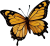 motyl1.png